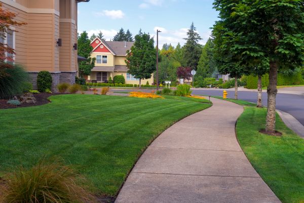 Sidewalk Patching in Missoula